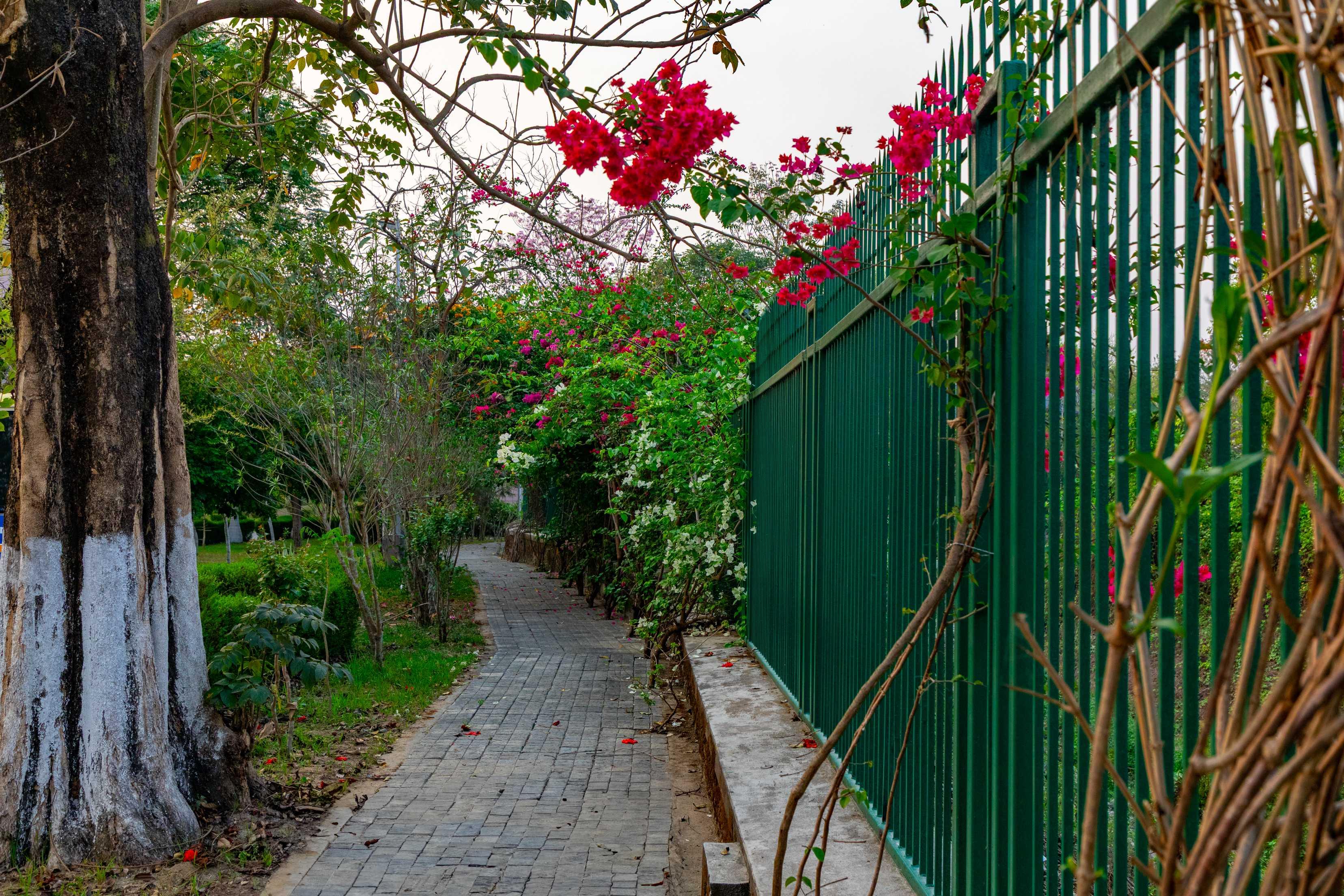 Inspiria Knowledge Campus Siliguri Academic Building photo 27